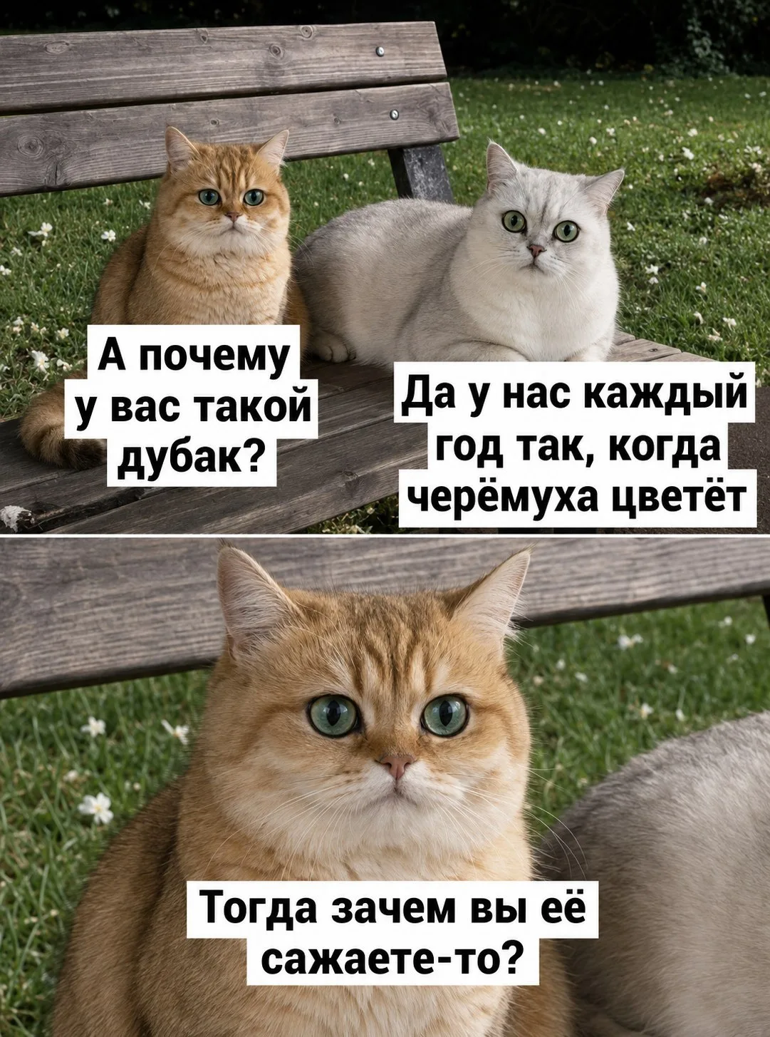 Действительно…зачем? 🤣