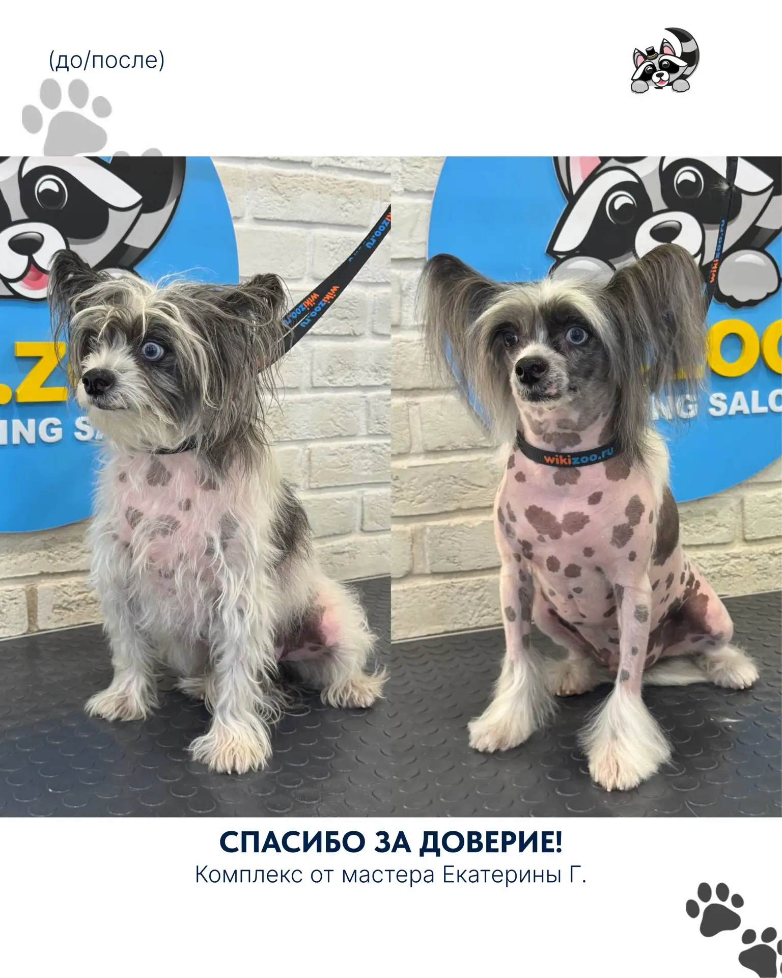 Спасибо, что доверяете нам самое дорогое 🐾