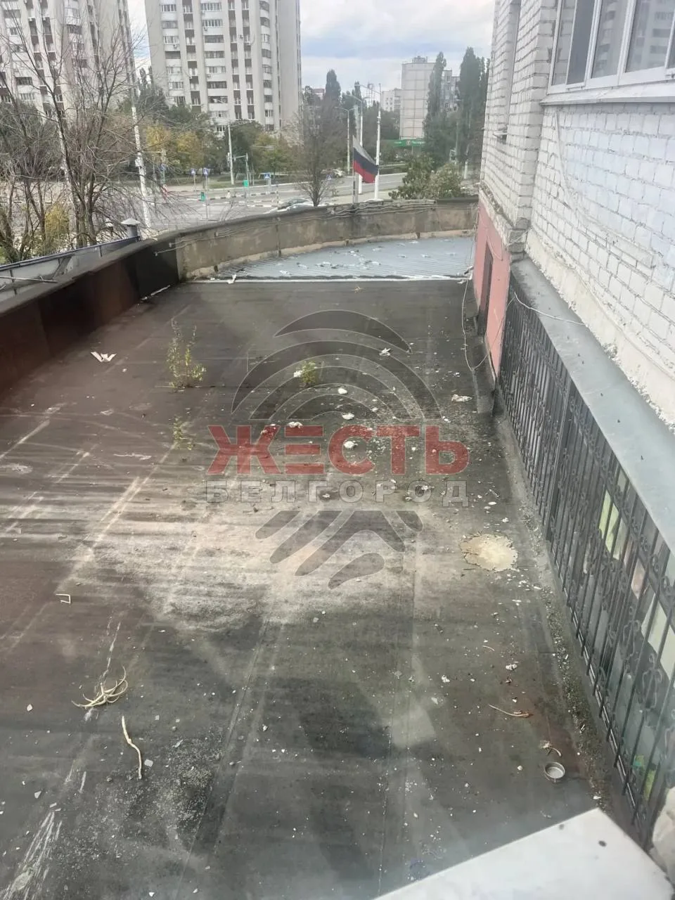 🤢 Настоящую свалку под окнами устроили жильцы многоэтажки на улице Королёва, 6