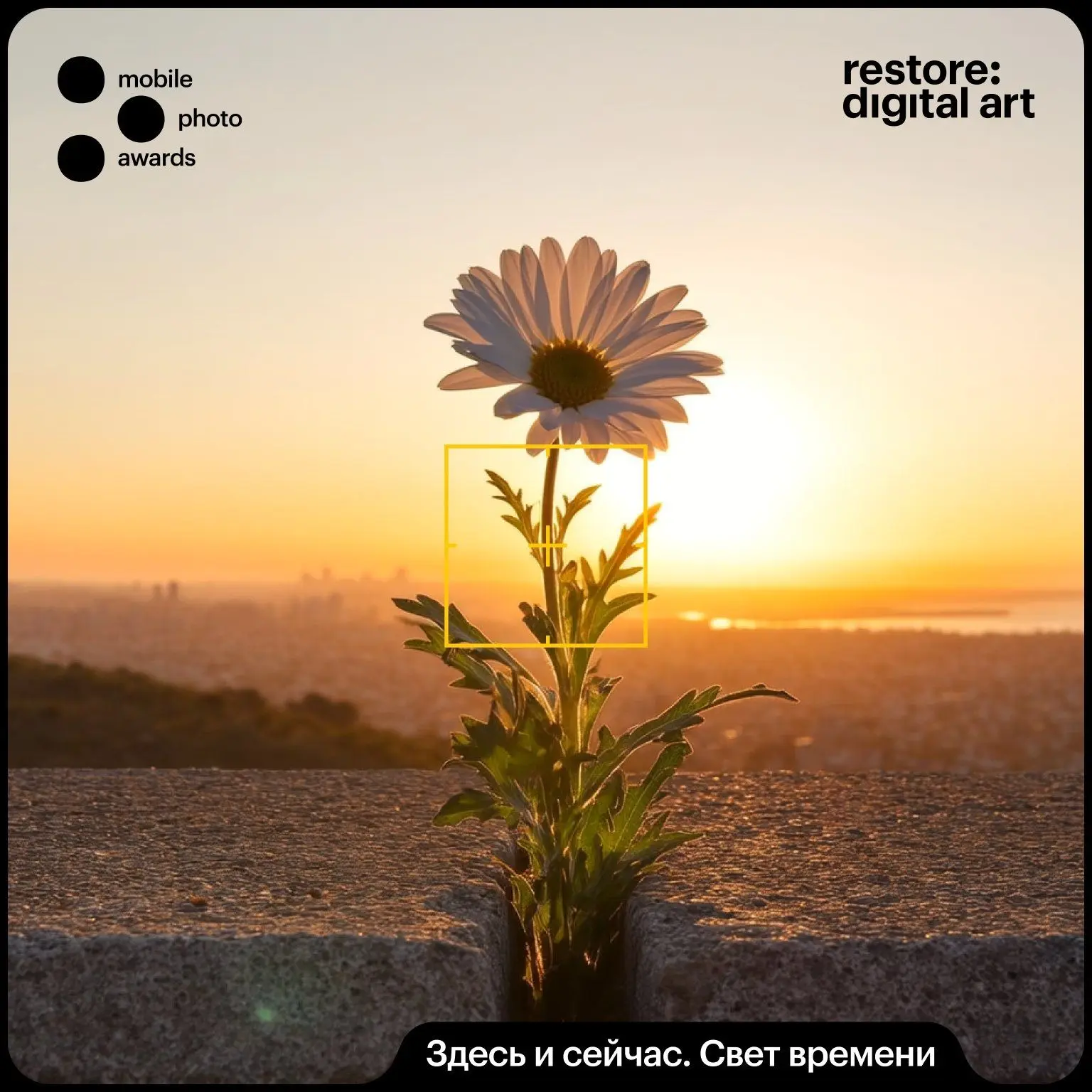 Конкурс мобильной фотографии restore:mobile photo awards 2026