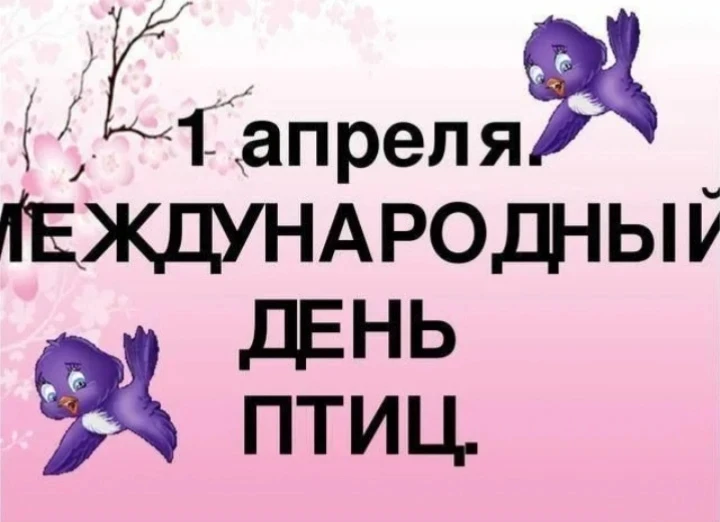 🎉 Международный день птиц в 1 классе! 🎉