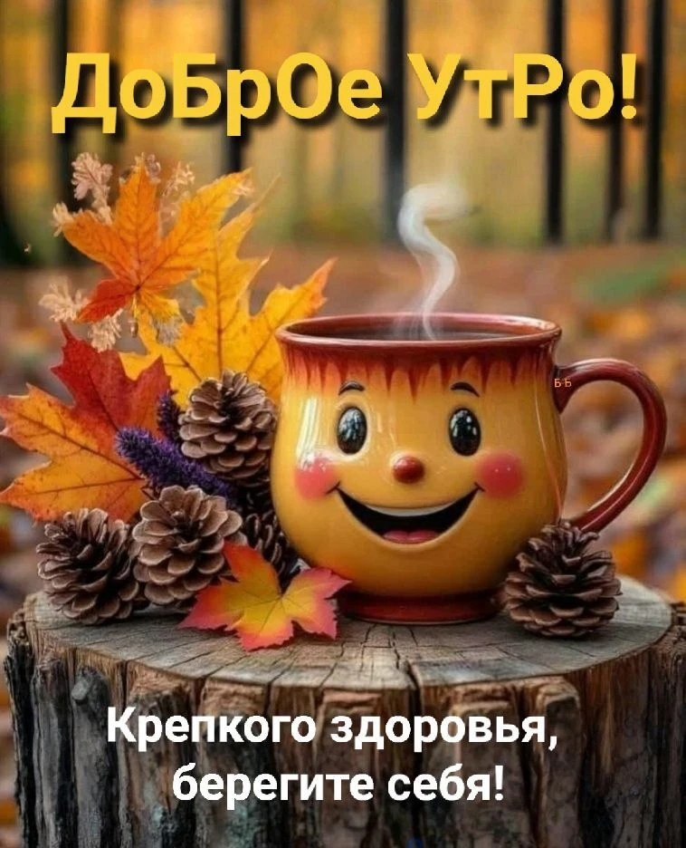Доброе утро!🍁