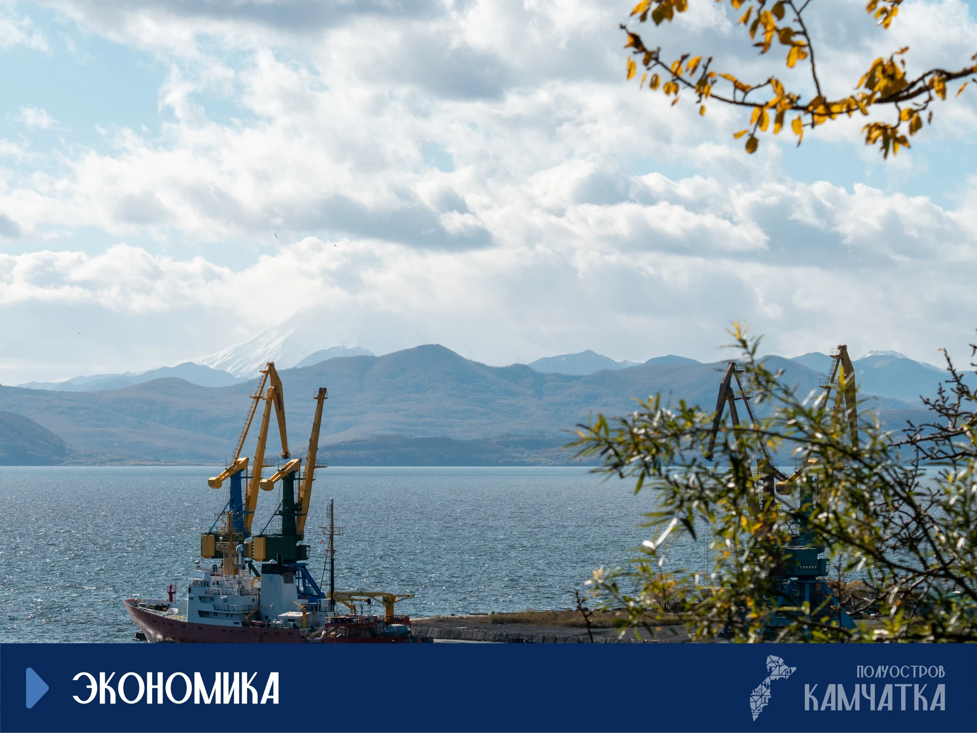ТОР, свободный порт и Арктика объединятся: что изменится для бизнеса на Камчатке
