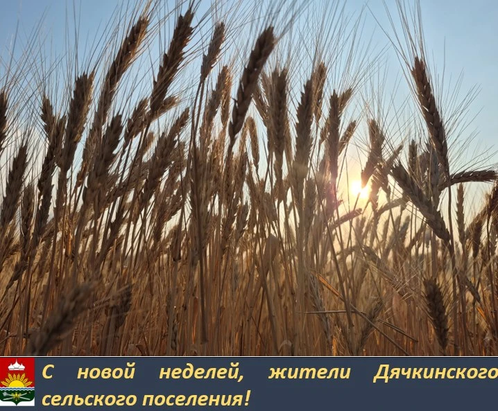 Пусть понедельник задаст бодрый и позитивный тон всей неделе. Пусть всё задуманное полу...