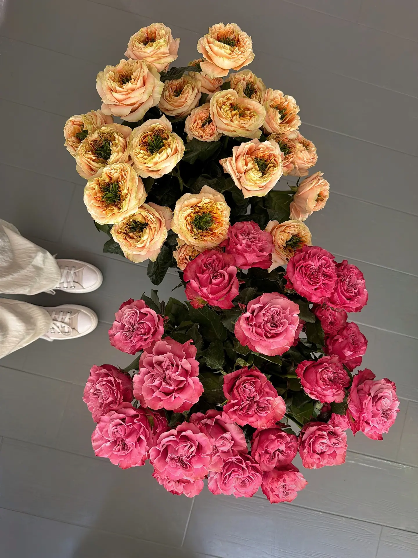 Не все розы, но всегда розы 🌹

Одни из самых необычных представителей пионовидных роз - малиновые «