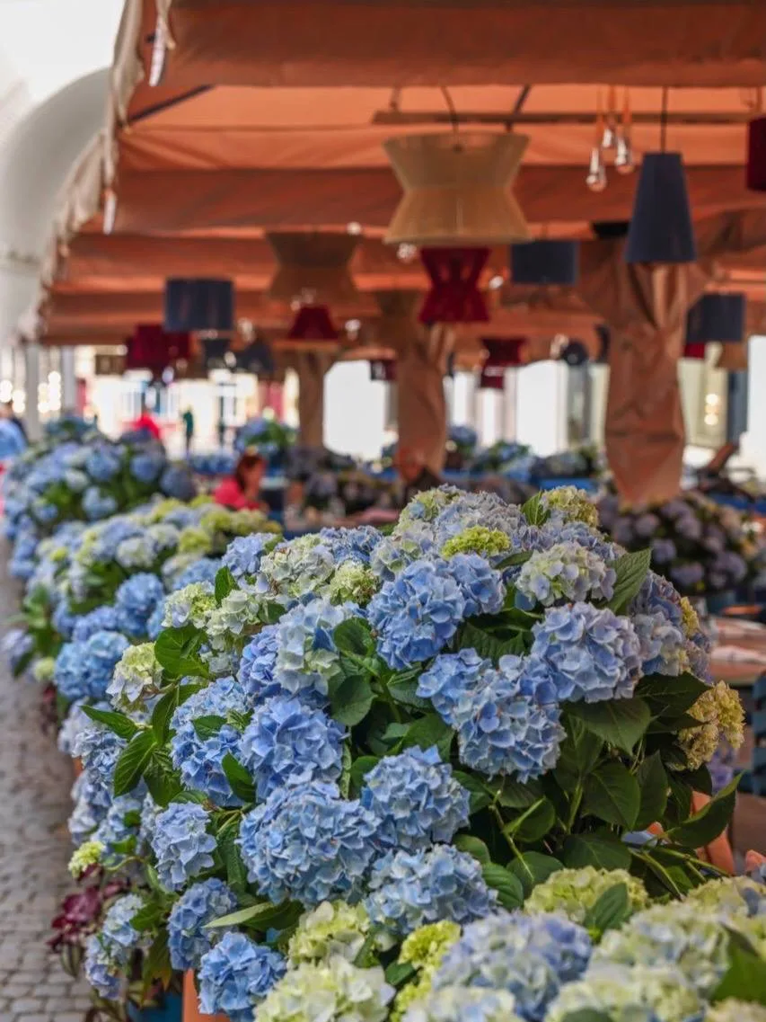 Wine & Crab угощает игристым🤩

На самой цветущей веранде в центре города бесплатно угощают игристым