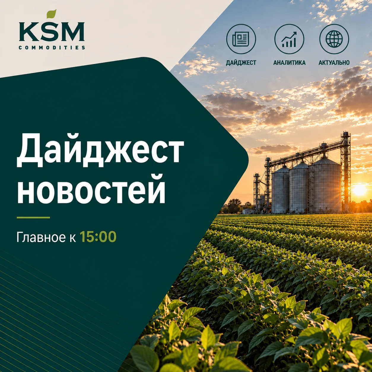 🗓️ Дайджест новостей: