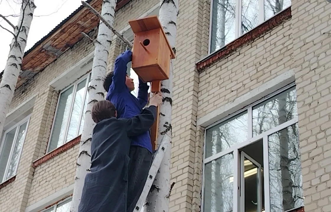 Встречаем перелетных птиц 🐦🐤  🙋‍♂️🙋‍♂️ Сегодня на нашем школьном дворе большое оживление. Ученики  8