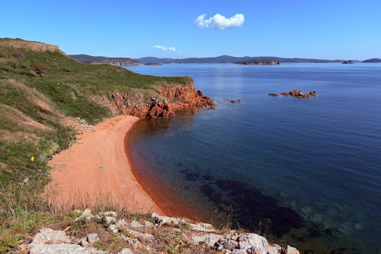 🌊Во Владивостоке на острове Попова открылась новая экотропа — туристов ждет 2 км живоп...
