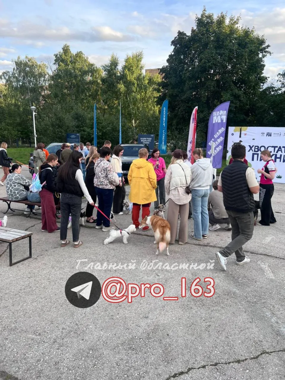 Изображение 1 к публикации «ТОЛЬЯТТИ»