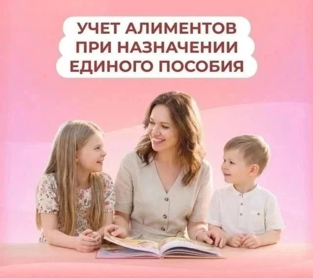 ✅Алименты не установлены судом — учтут сумму исходя из среднемесячной зарплаты в регион...