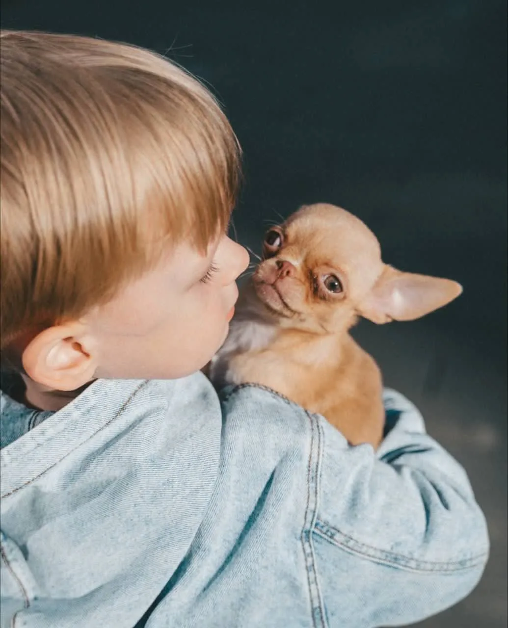 История одной покупки🐶