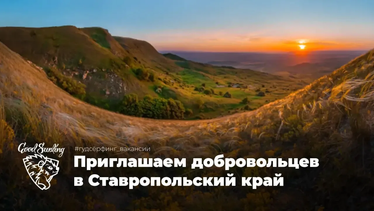В проекте «Заповедное дело» РГО открыли набор на одну из самых насыщенных смен сезона —...