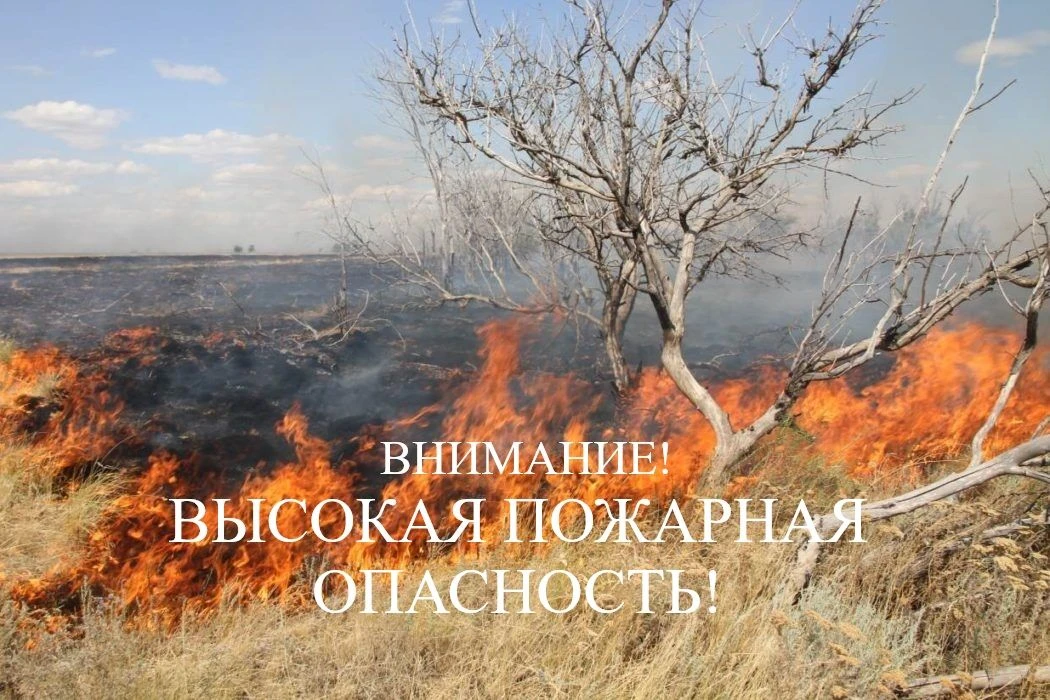 ГАУ ХО «Новотроицкий лесхоз» информирует о высокой пожарной опасности на территории Херсонской облас