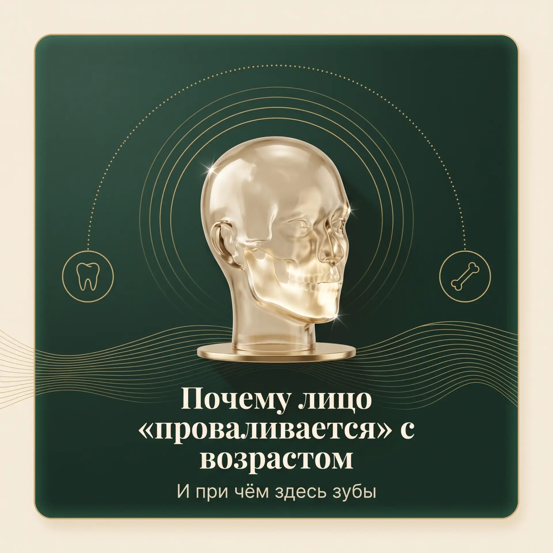 Овал лица держится не на коже. Он держится на кости.