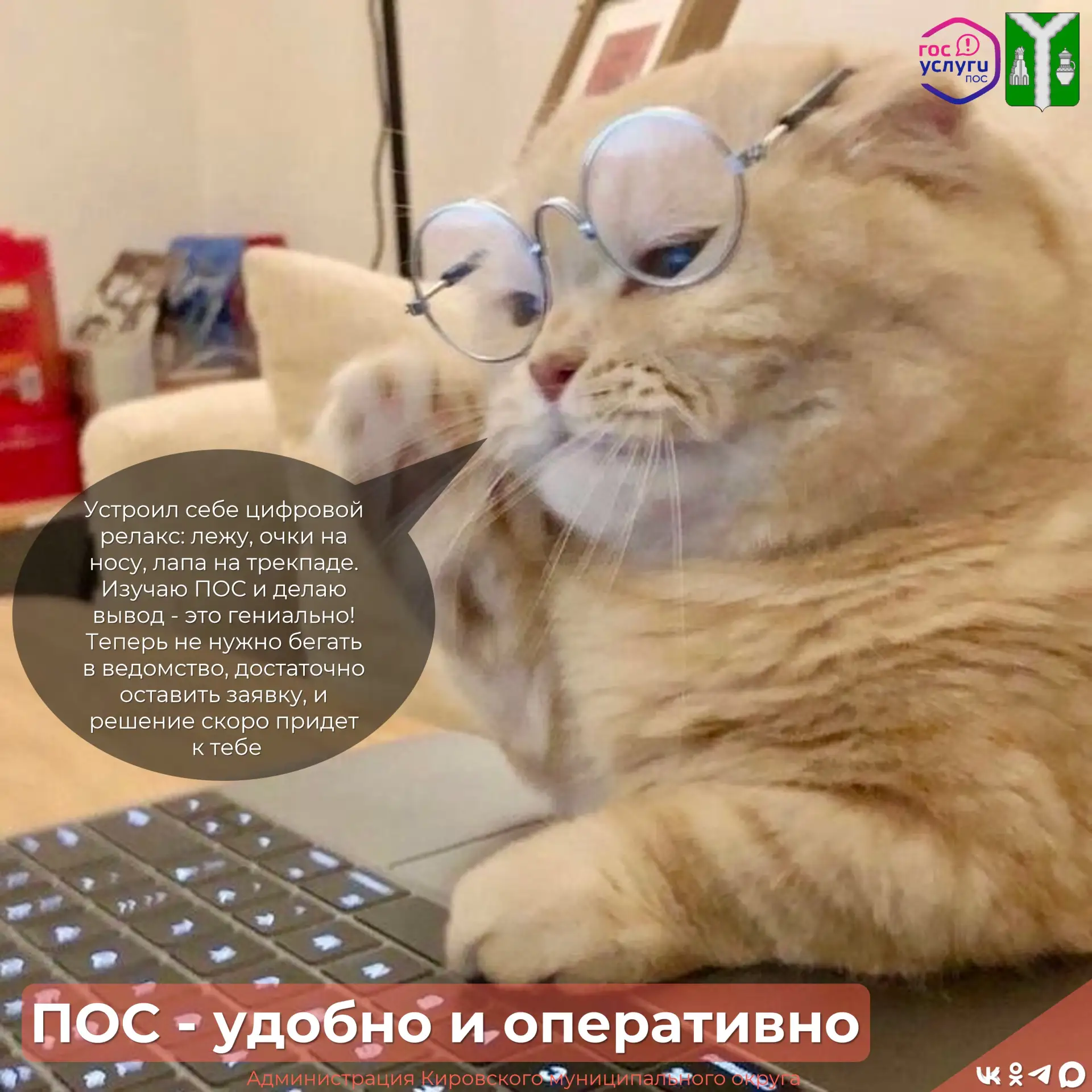 Больше никаких очередей и бумажной волокиты! 

Платформа обратной связи — ваш быстрый путь к решению