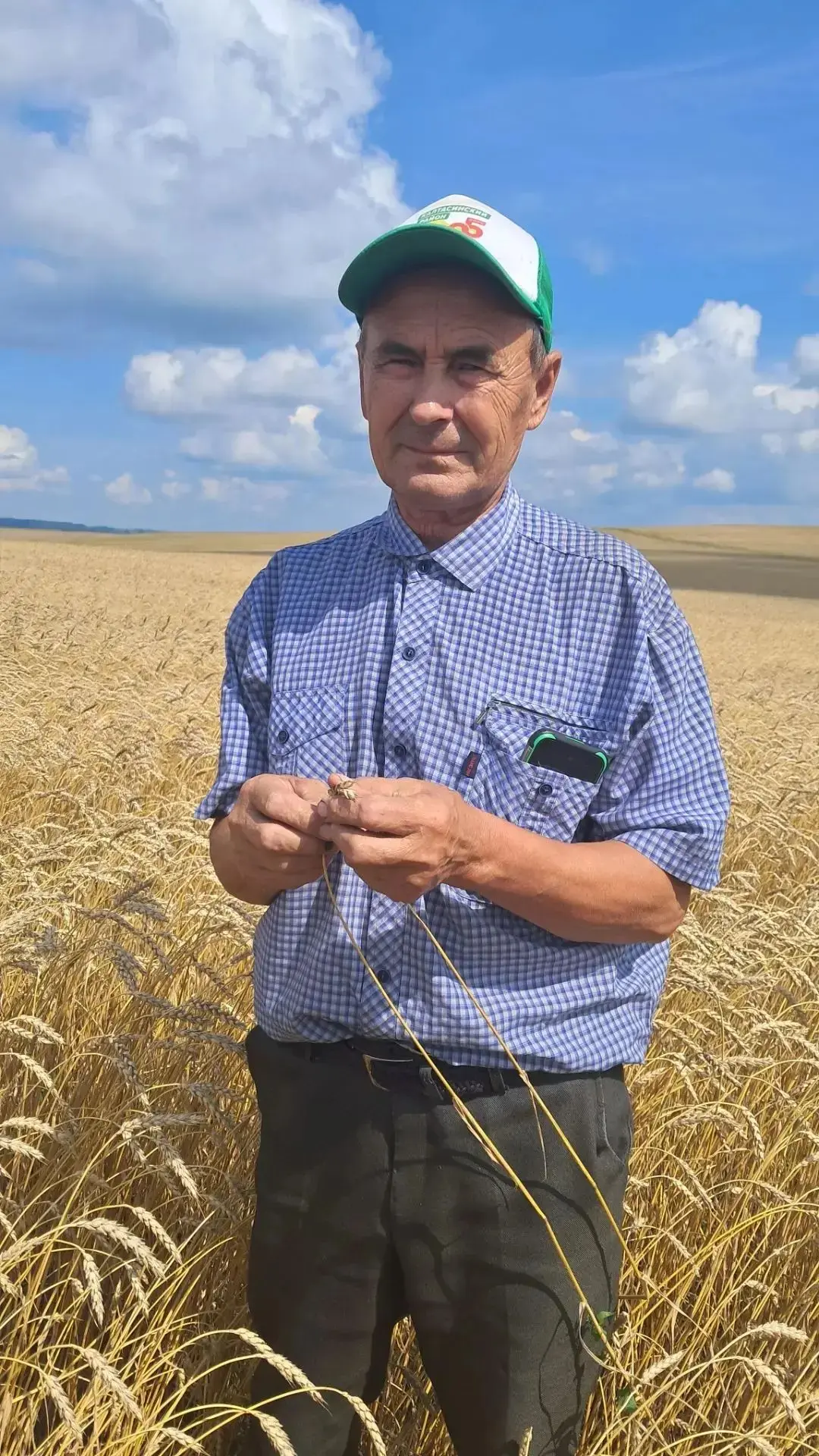 🆕🌾В Калтасинском районе продолжается апробация посевов

🌾Специалисты филиала Россельхозцентра по 