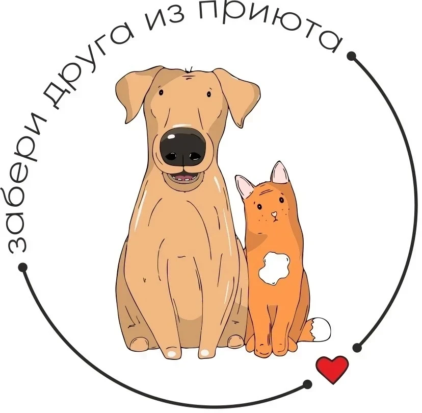 🐾 Мечтаете о верном друге?