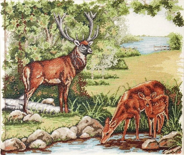 Monarch of the Glen. Дизайн Anchor