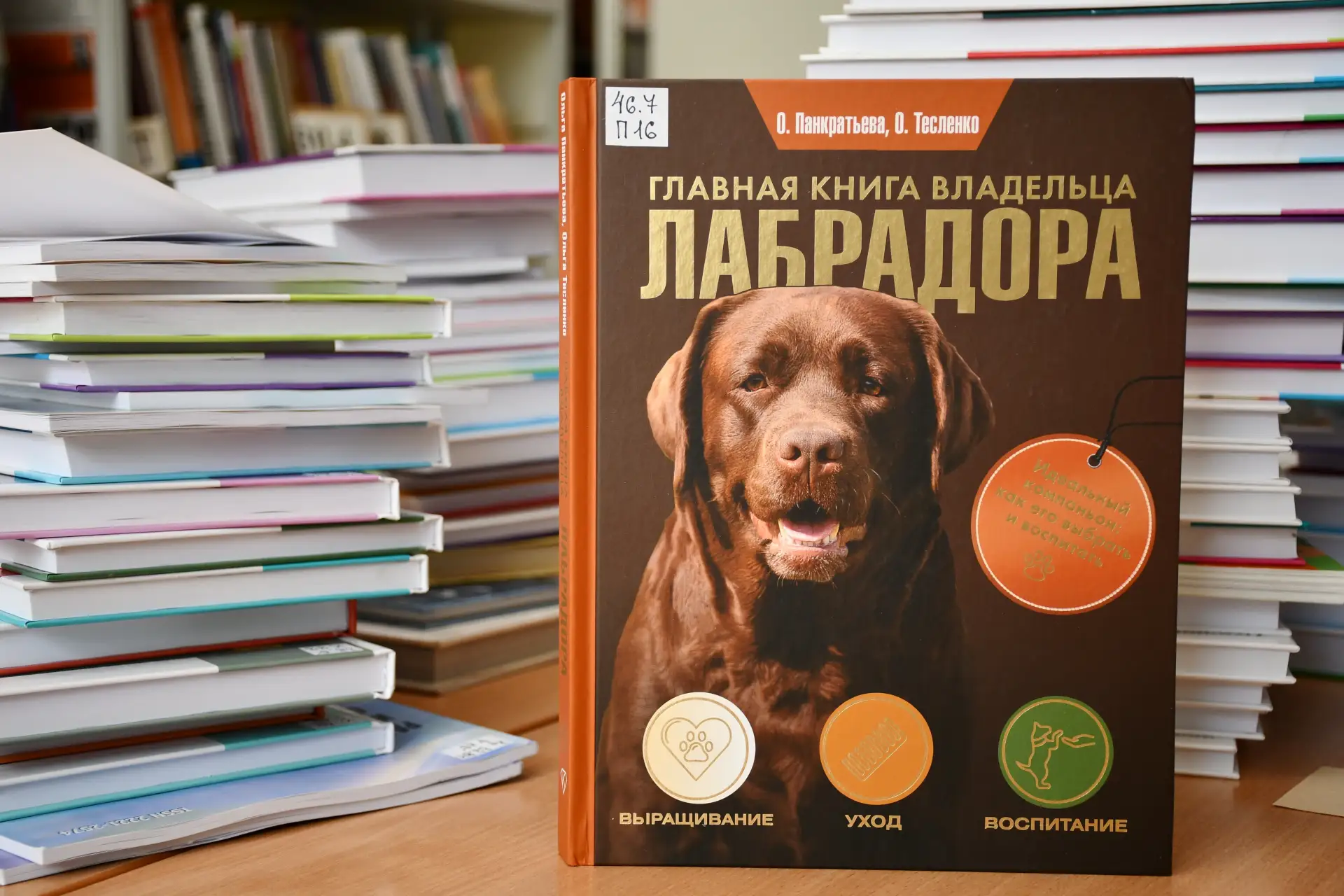 🐕 Есть ли у вас пушистый, преданный друг? Или вы только мечтаете о нём? Тогда вам точн...