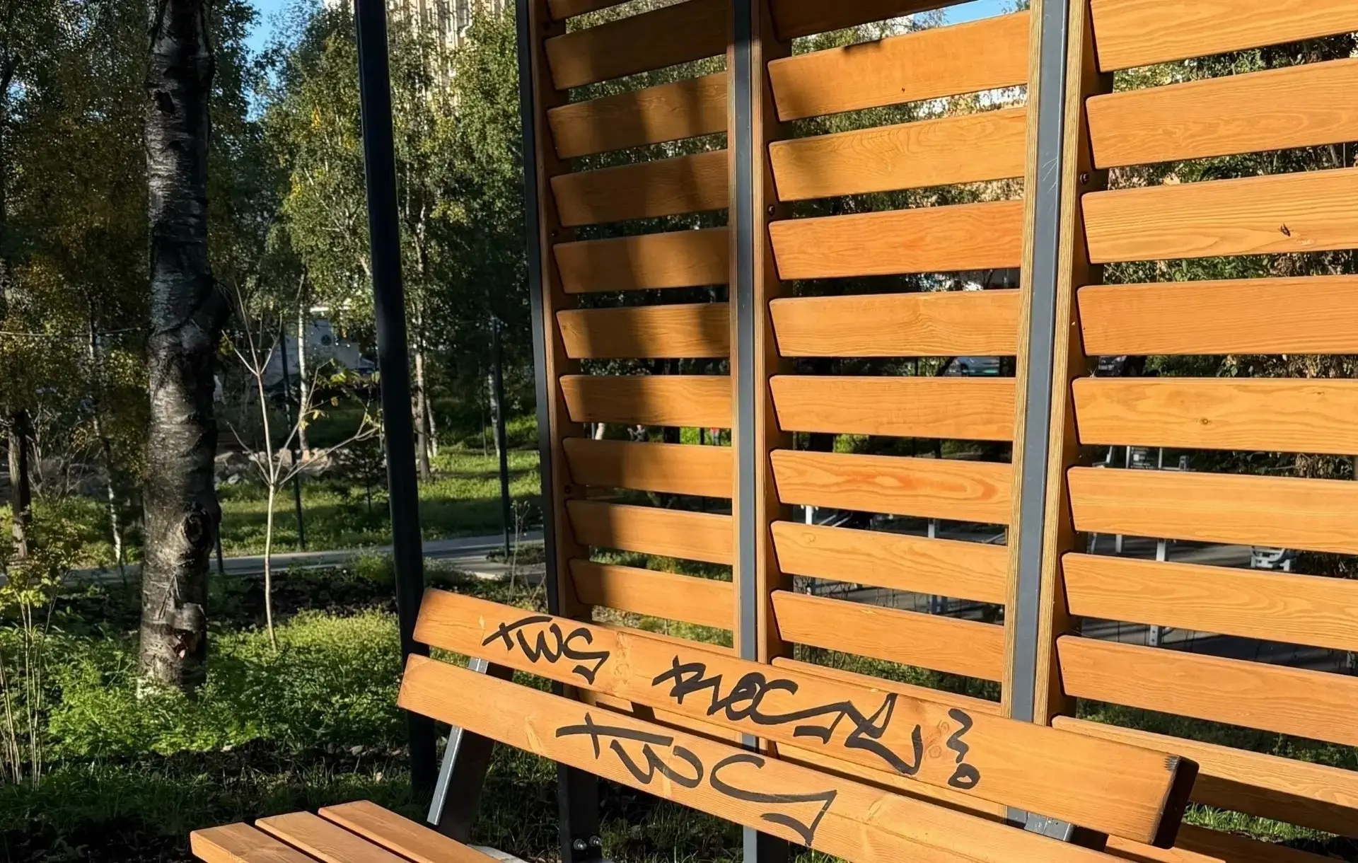Вот и добрались "очумелые" ручки и до аллеи на Кирова (назвали бы их по-другому, но нов...