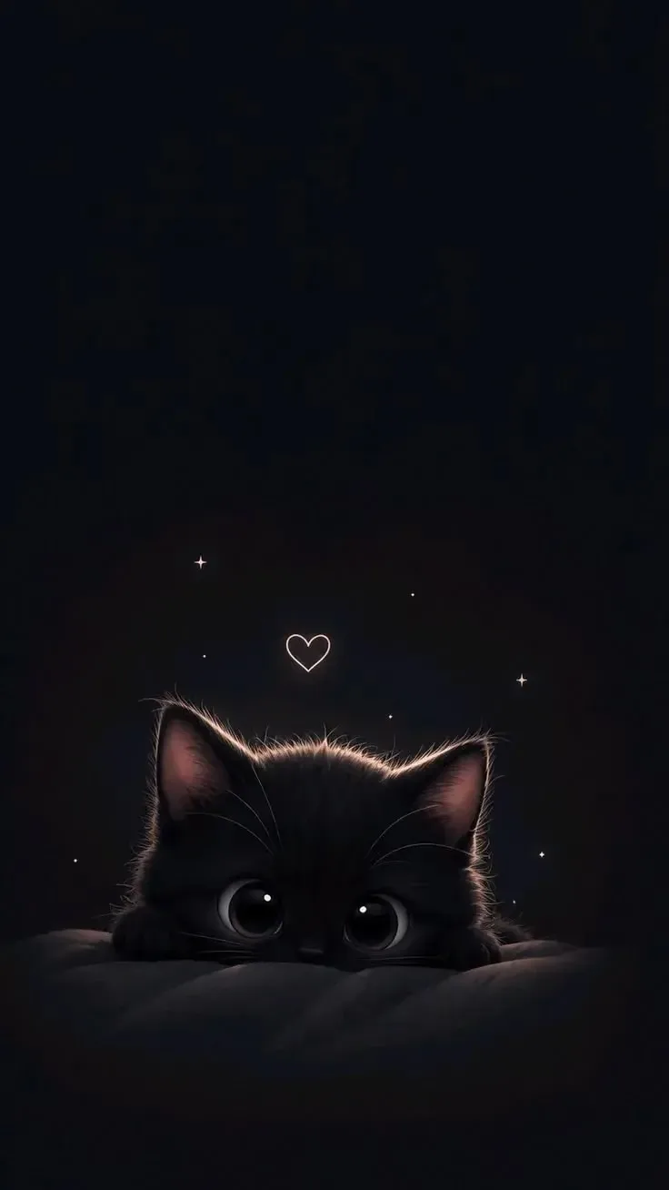 Обои с черной кошкой 🐱