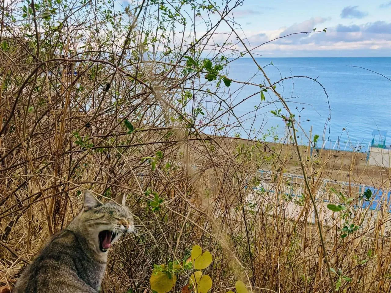 ☀️ Доброе утро, Анапа!