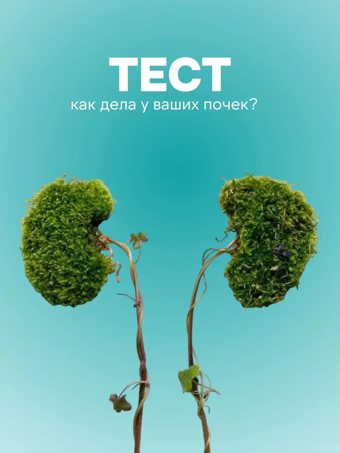 Почки — главный фильтр организма, но у них нет болевых рецепторов внутри. Проблему част...