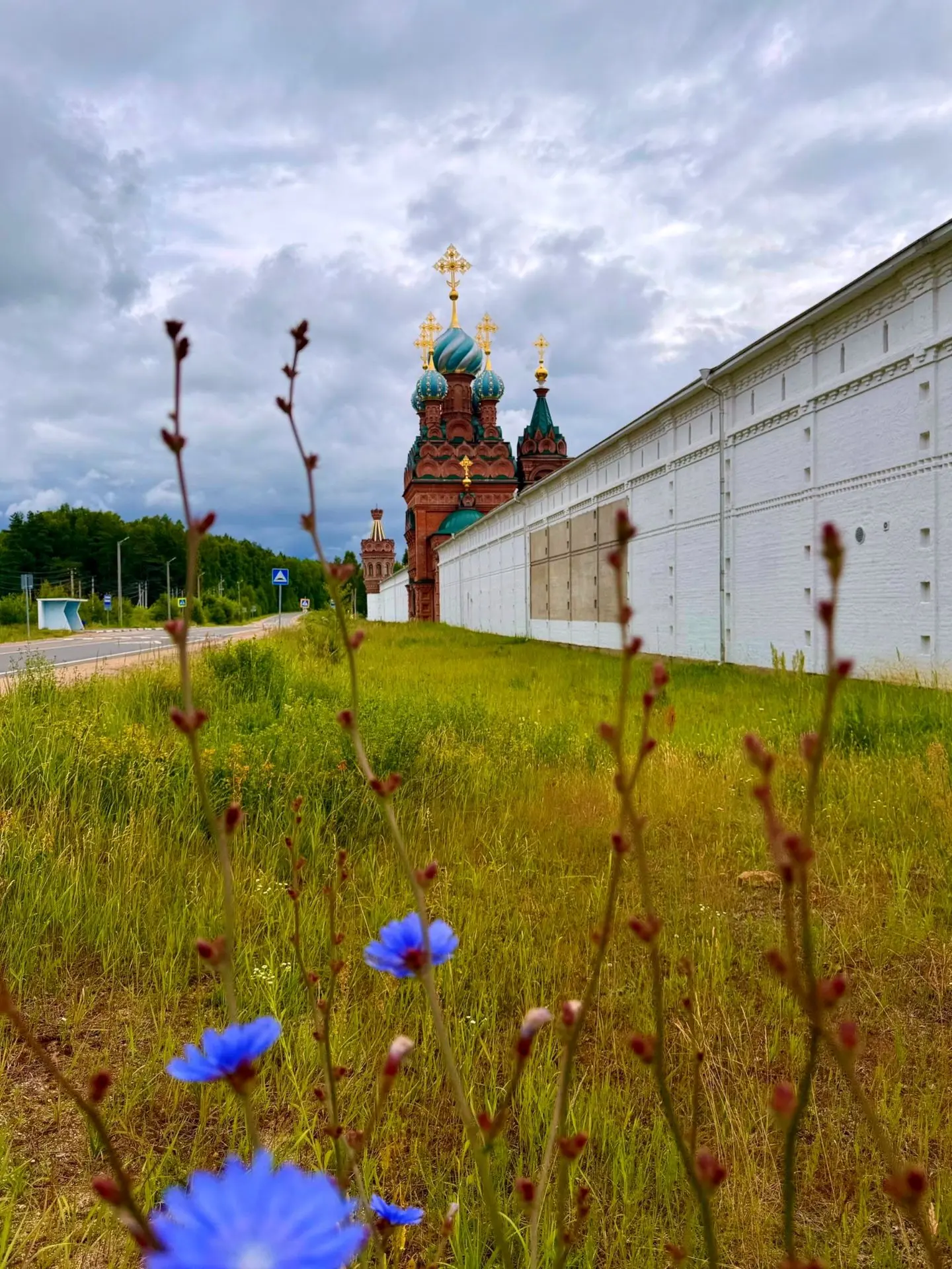 Ангела ко сну! 🌺