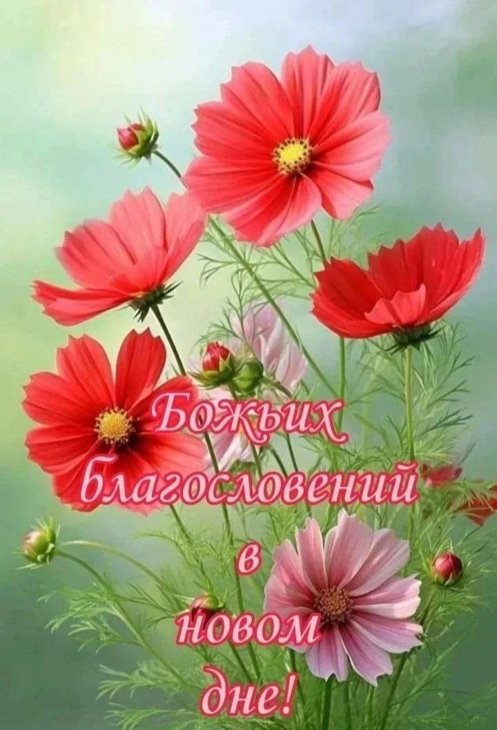 ☀Доброе утро.