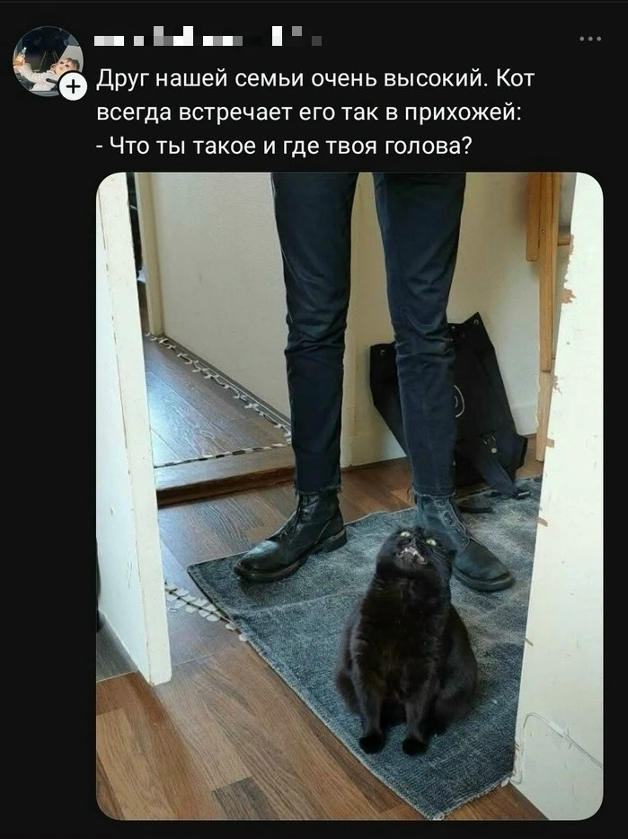 Подписывайся на нас! https://max.ru/channel_foradult
