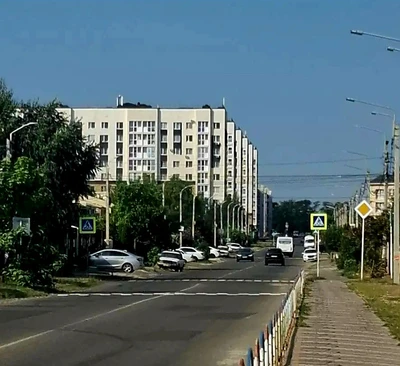 Амброзия в Гармонии: где она растёт и как подать заявку на покос