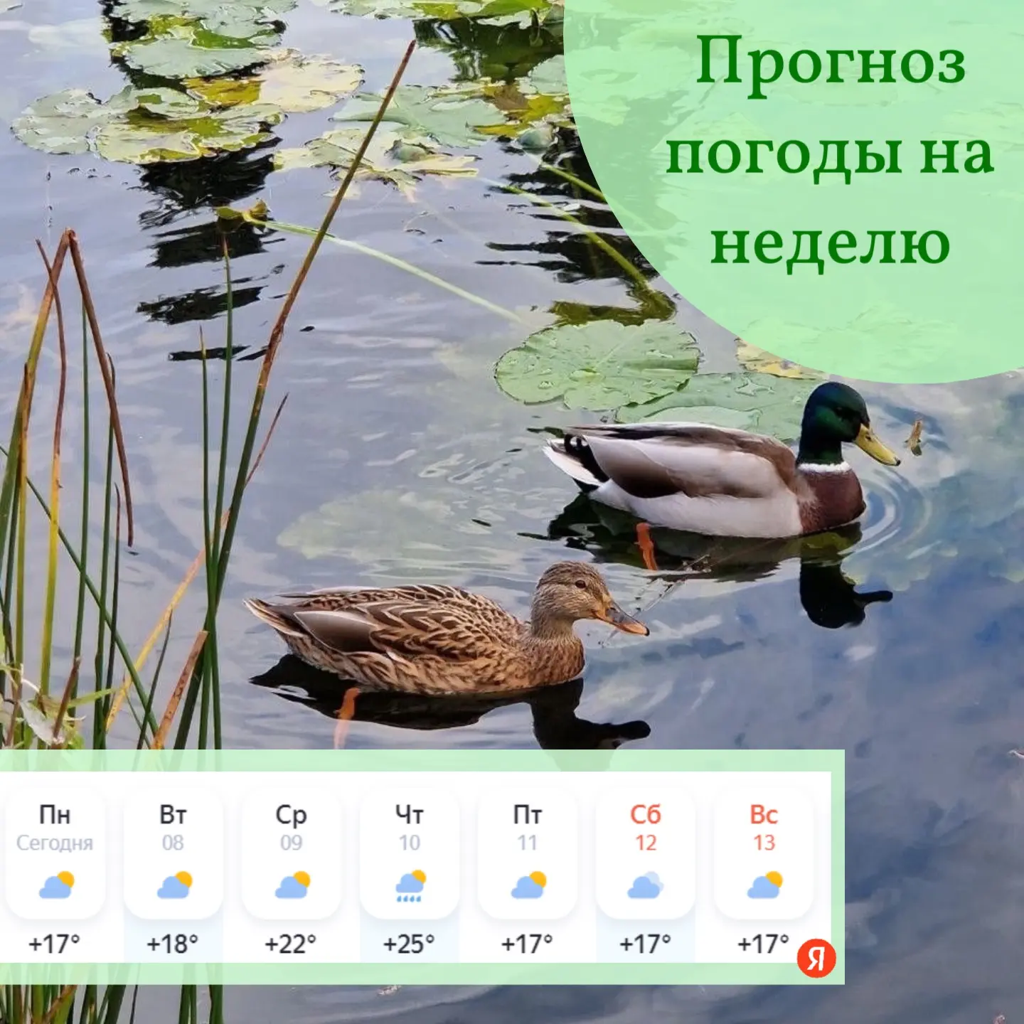 ☀️ Дорогие друзья, мы желаем вам интересной и продуктивной трудовой недели!  Пускай в з...