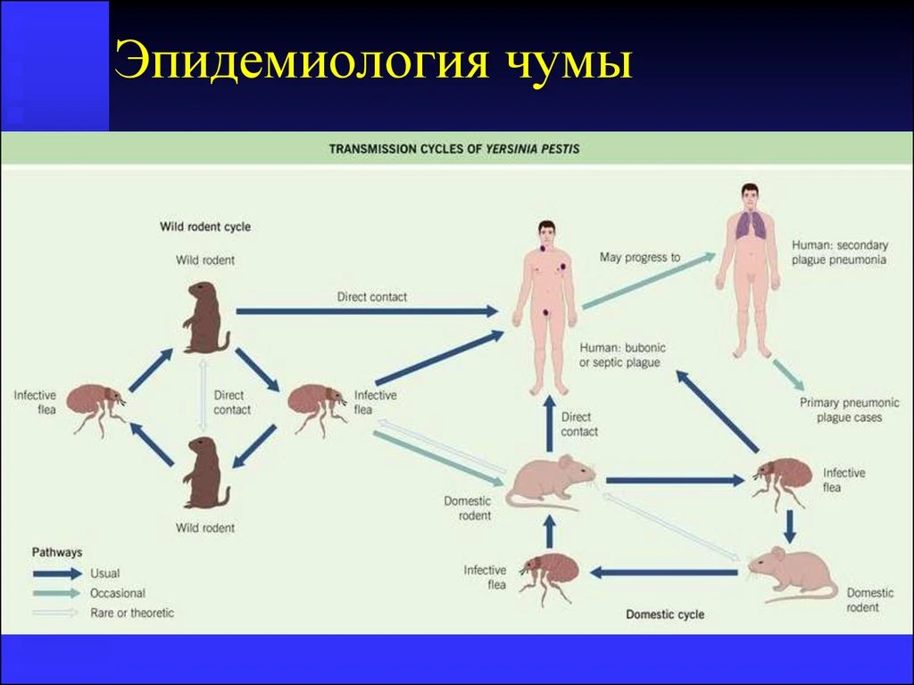 Пипец. Приехали...