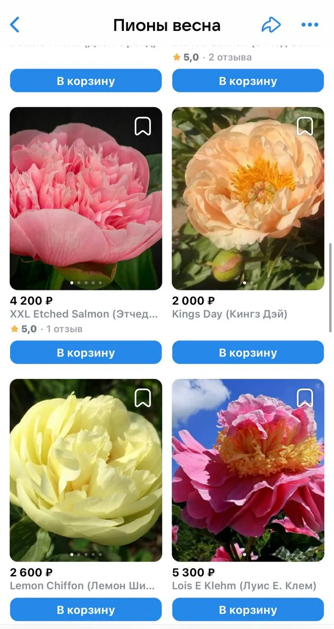 В каталоге постоянные пополнения! Успеваем на самое сладенькое! Почки не переросшие!