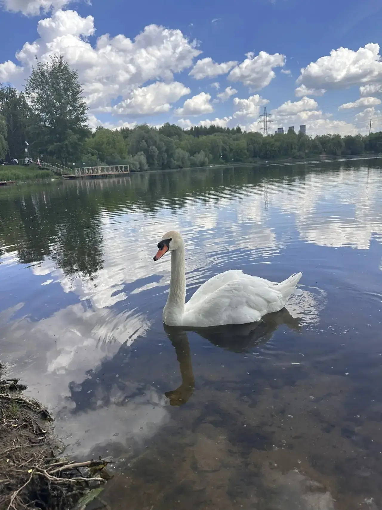 Пленэр — это всегда маленькое чудо. 🎨🌿

Кажется, мы пришли рисовать природу, но сегодня природа ре