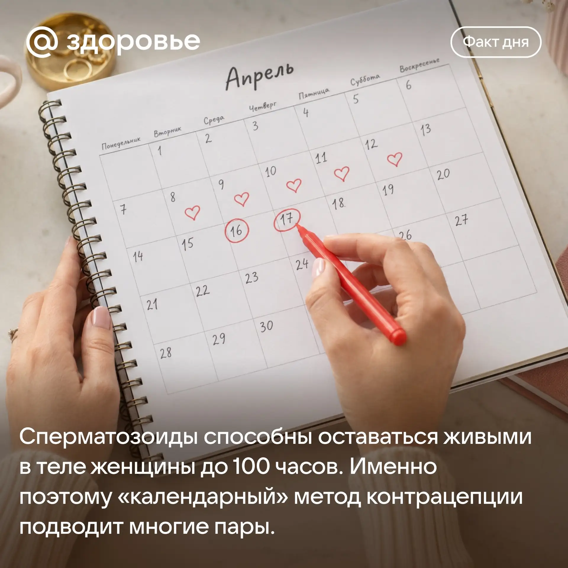 Хороших выходных! ☀️