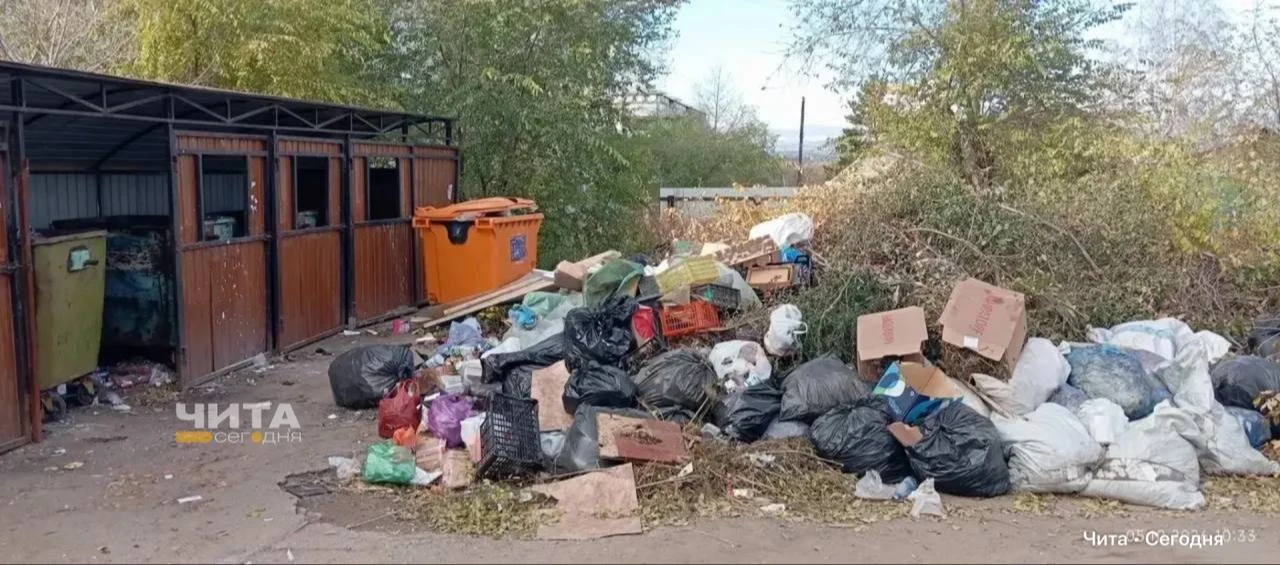 У дома №5 на Автогенной в Чите скопились горы мусора вокруг контейнеров. Местные жители...