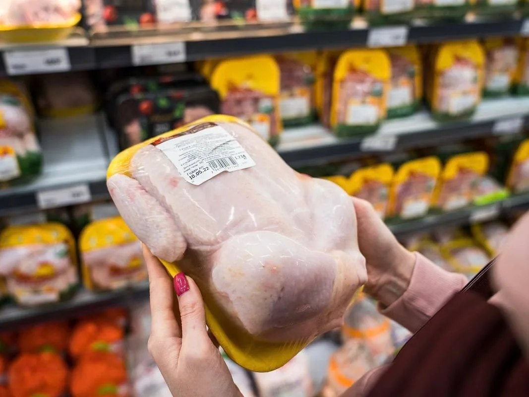 🤯🥲 Курица и мясо птицы резко подорожают в России