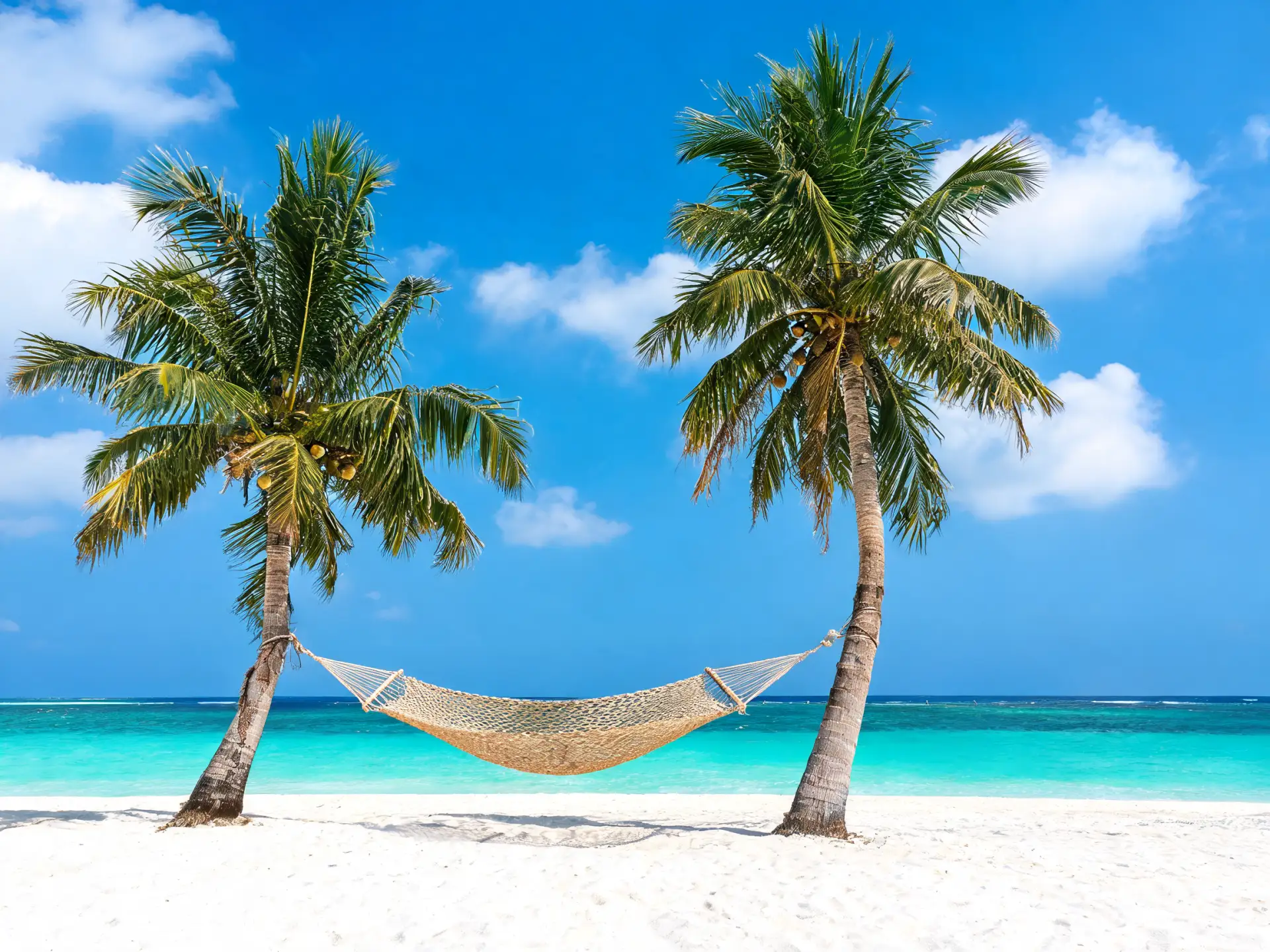 🌴🏖️ Мальдивы: локал-айленд гид — откройте Тодду и Расду! 🧝‍♀️

Мечтаете об аутентичных Мальдивах 