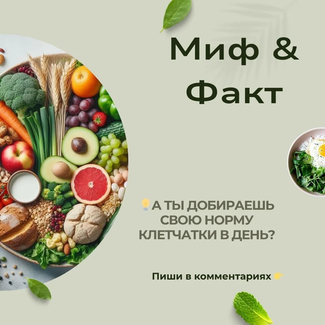 Миф: Клетчатка нужна только для пищеварения и «чтобы сходить в туалет».

Факт: Клетчатка — это питан