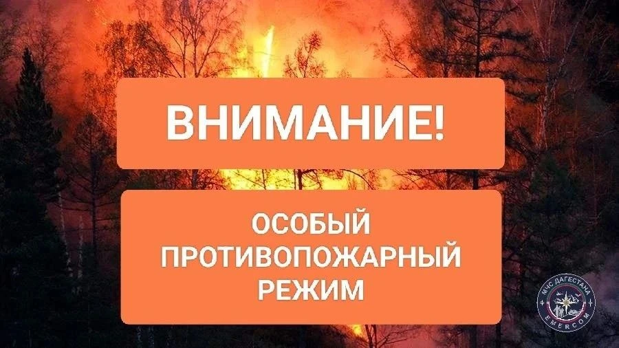 МЧС Дагестана напоминает, что до 31 октября на всей территории республики Дагестан дейс...