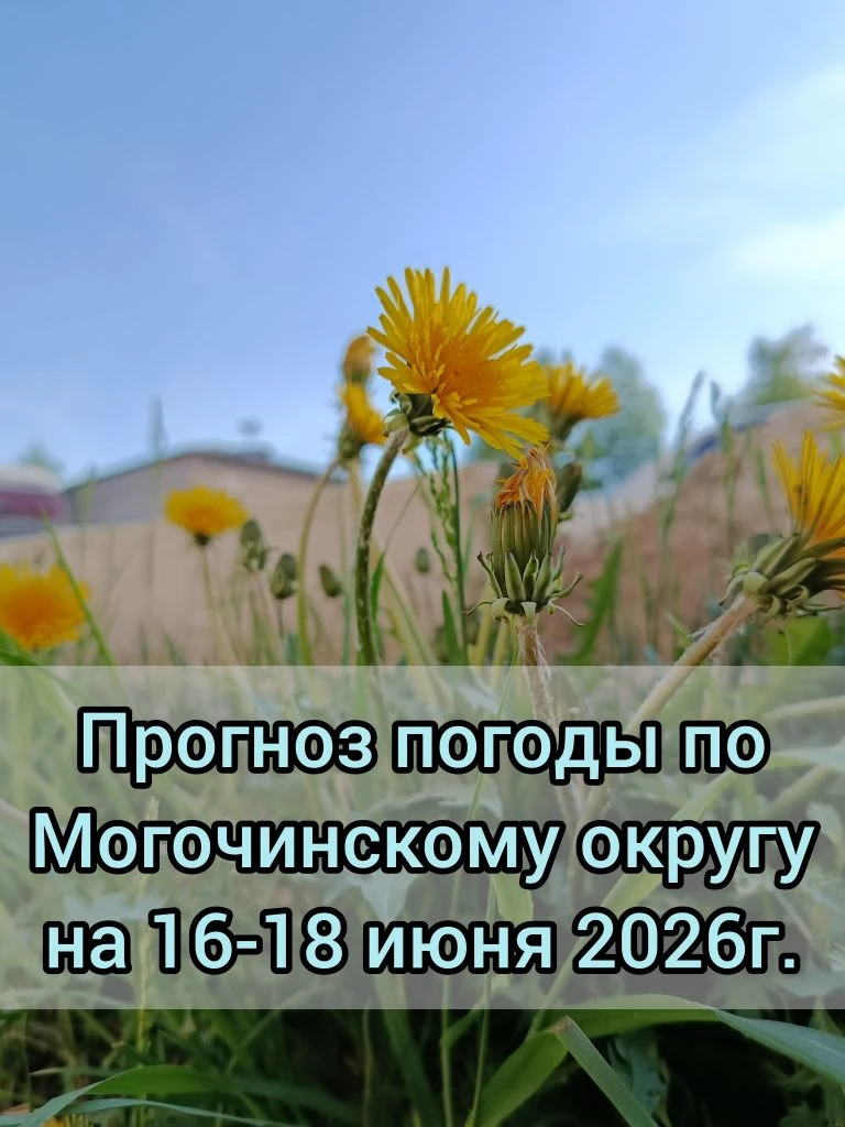 🌥️Прогноз погоды по Могочинскому округу на 16-18 июня 

📆16 июня без существенных осадков. 🌬️Вете