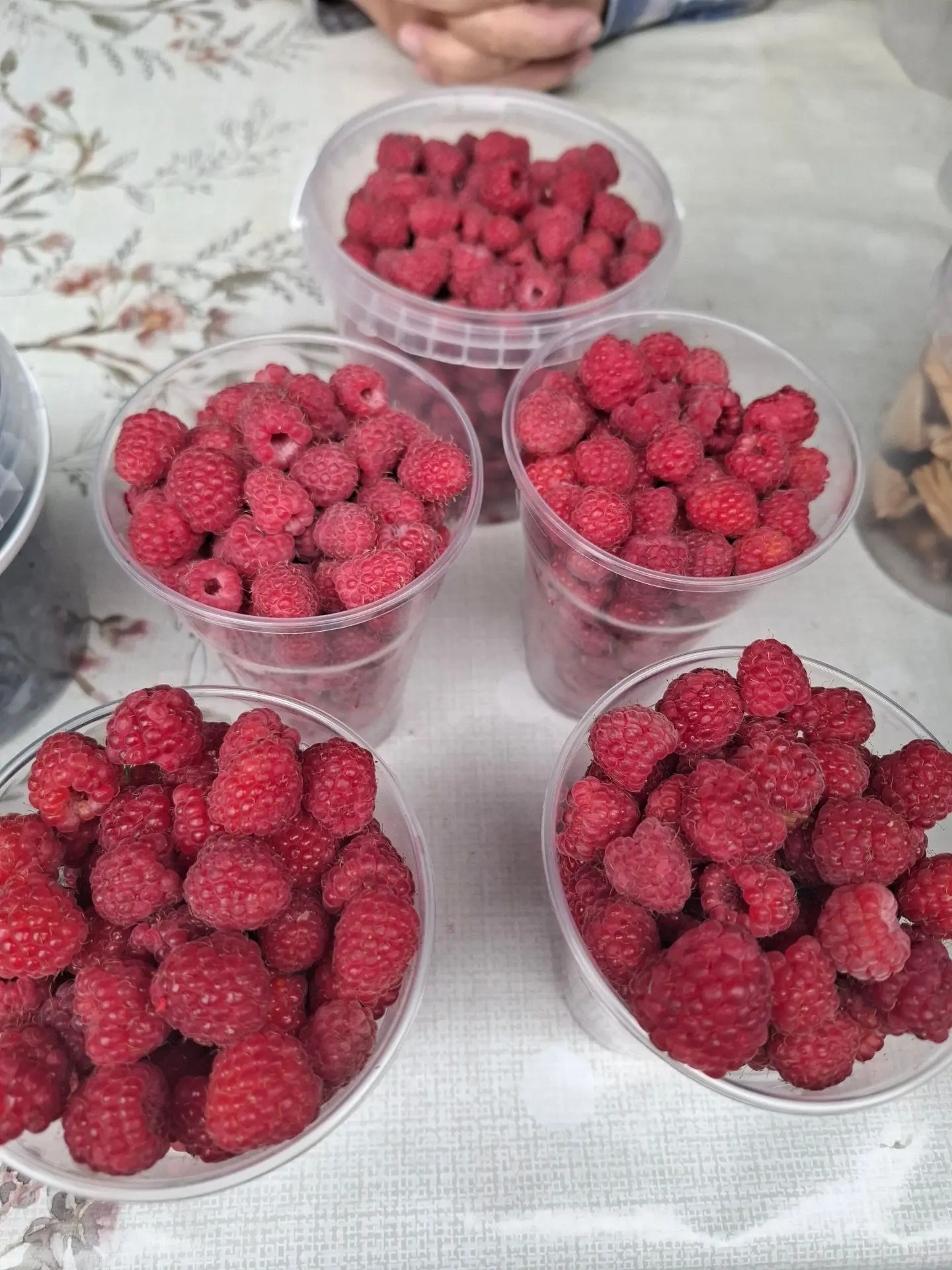 ✨Ягодный сезон в самом разгаре!