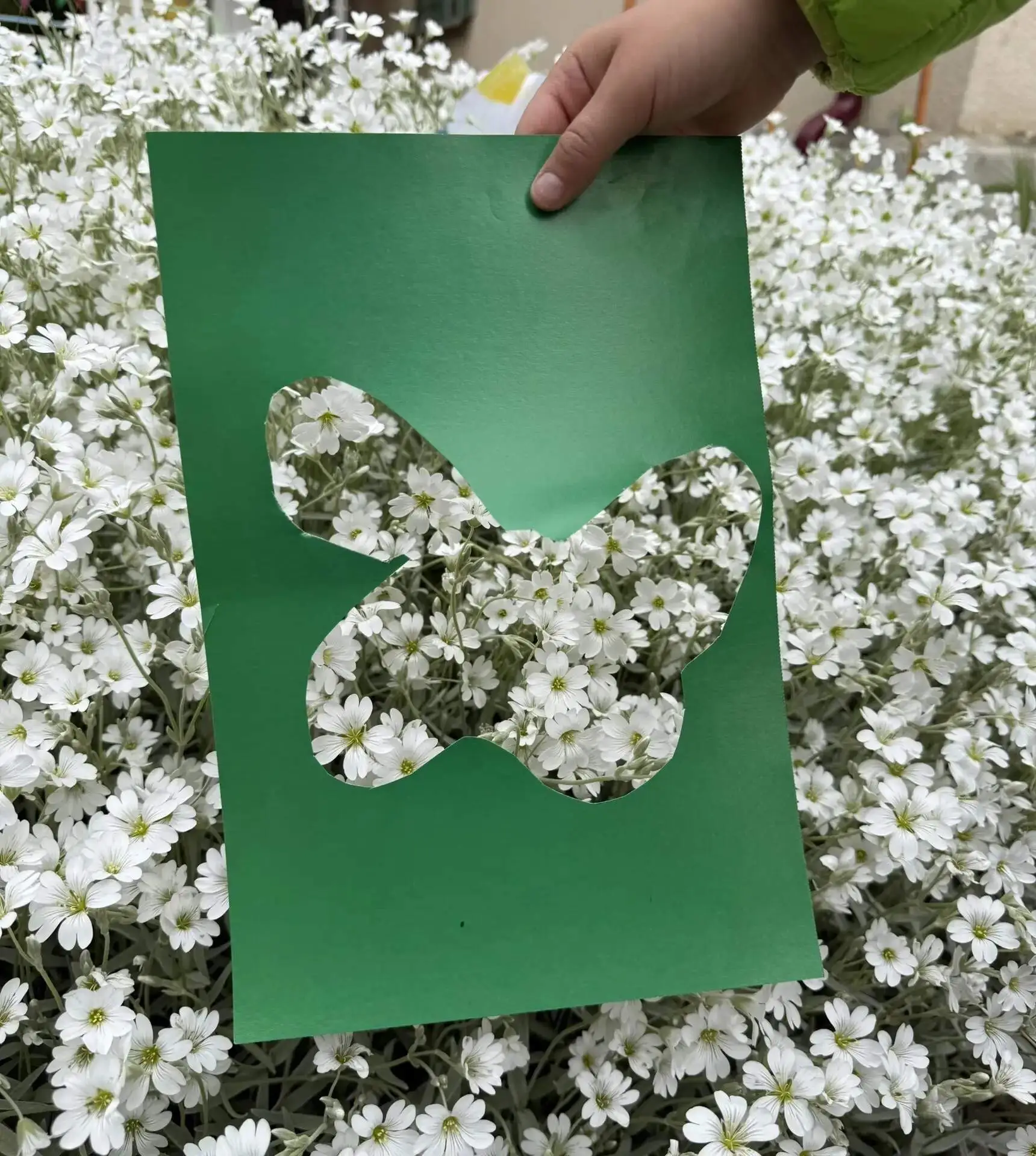 🍀Прогулки на природе в детском саду — важный элемент образовательного процесса, которы...