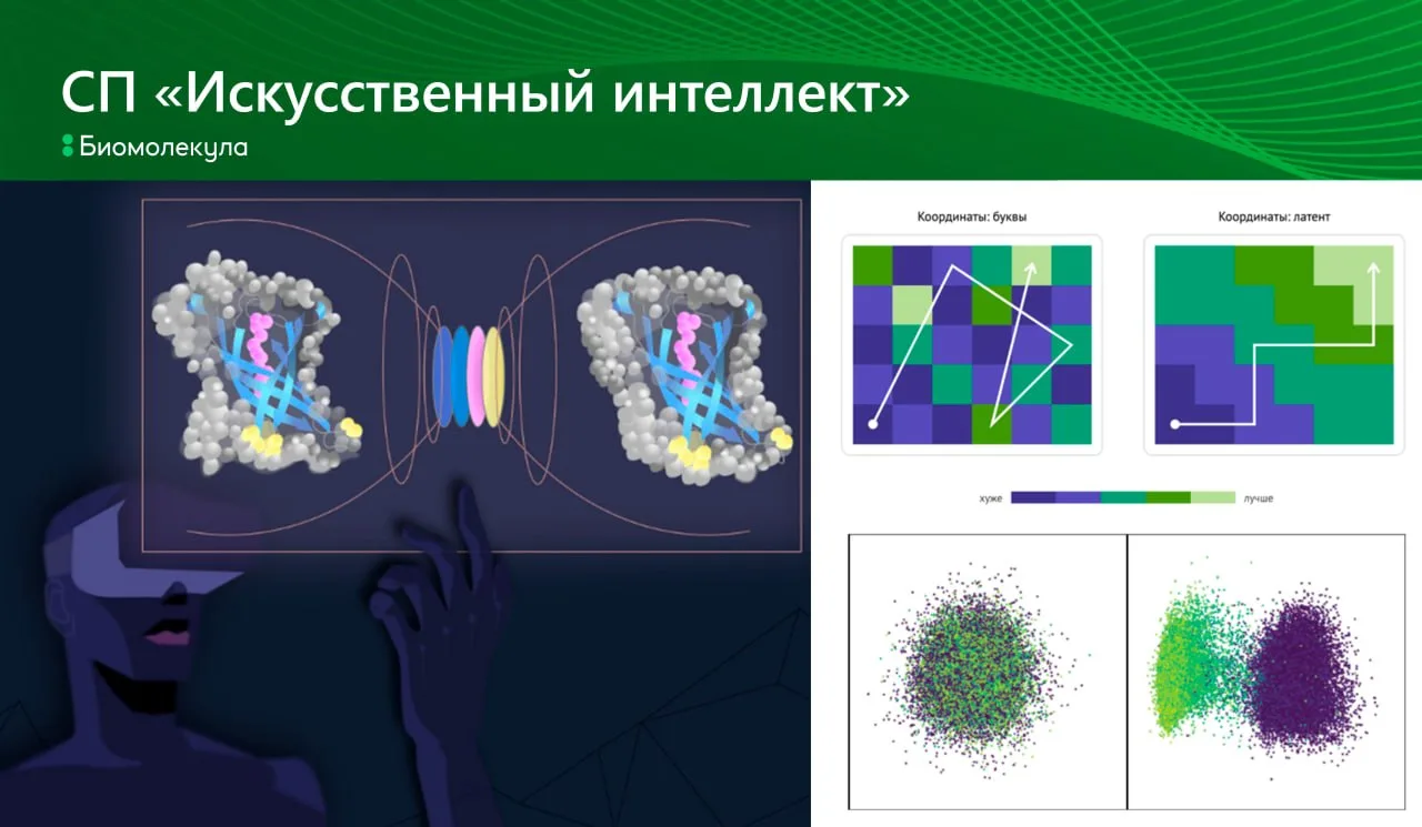 В белковом редизайне есть интересный подход — искать новые белки прямо в специальном пр...
