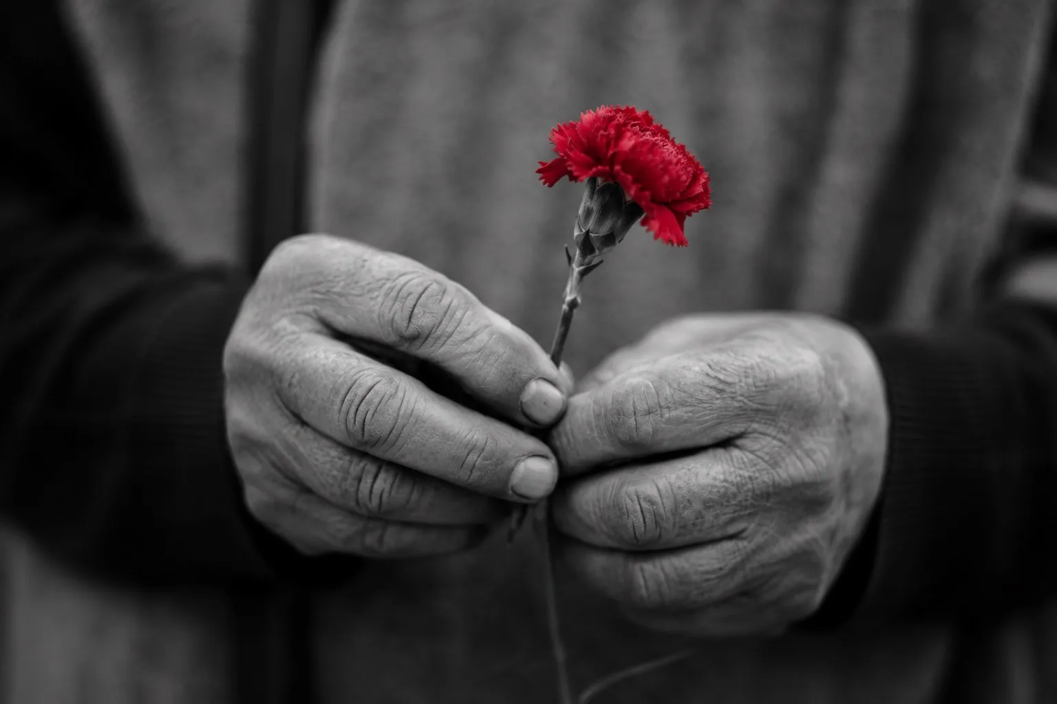 🎗️ Накануне Дня Победы 
я думаю о том, что такое настоящая стойкость.
Не та, что на плакатах. Не сж