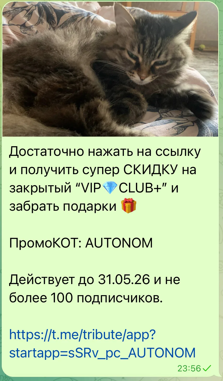 Достаточно нажать на ссылку и получить супер СКИДКУ на закрытый “VIP💎CLUB+” и забрать ...