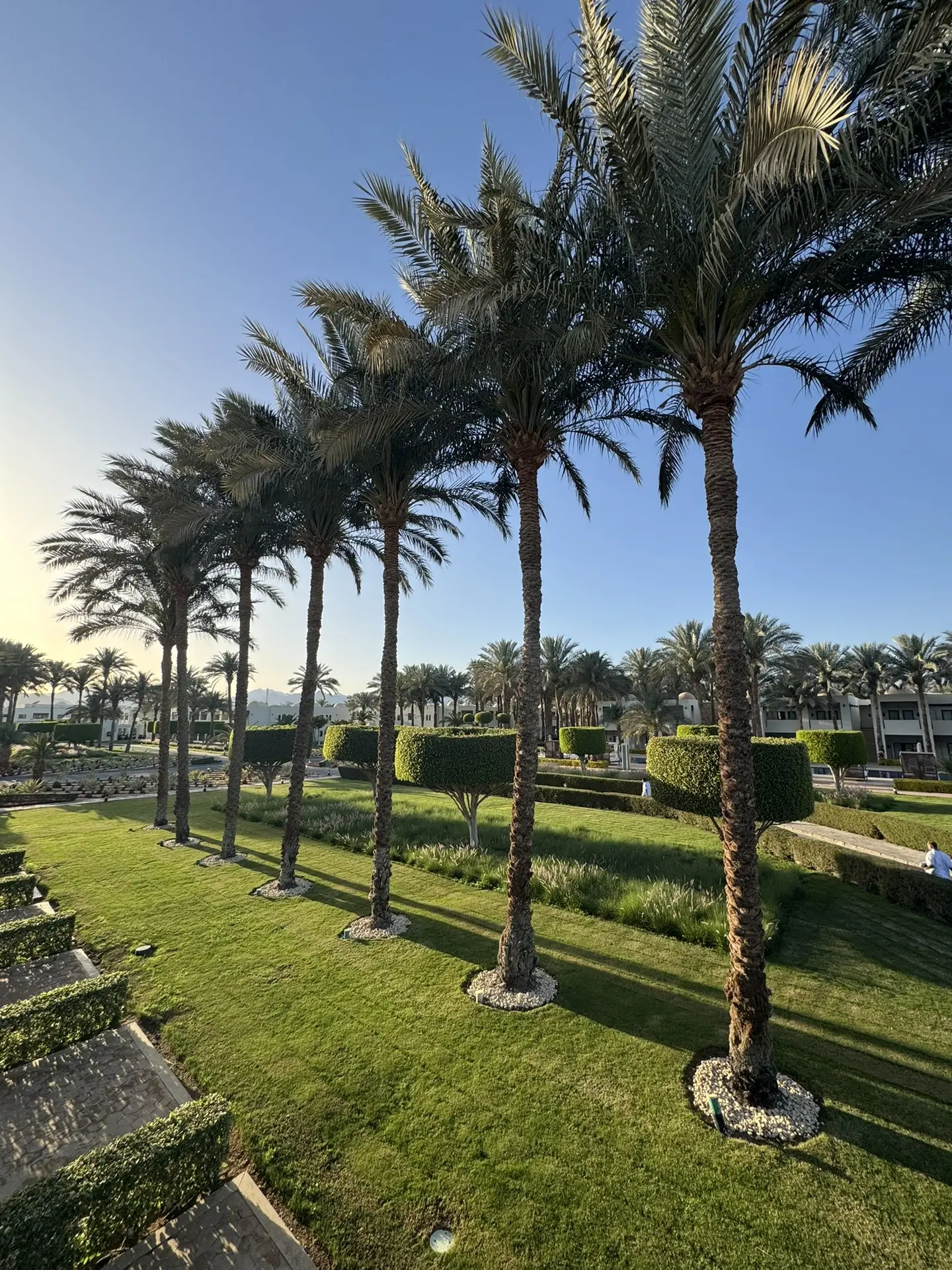 💥Один из лучших отелей Египта: Риф Оазис Бич Резорт/ Reef Oasis Beach Resort 4* (Шарм-...