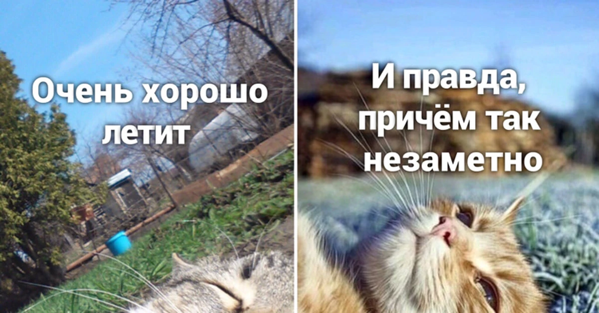 🌞 Плохие новости: целый месяц лета позади